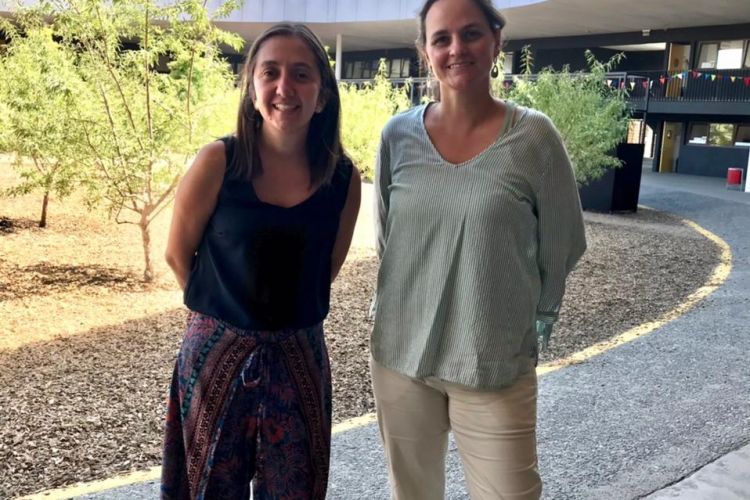 Líderes del proyecto