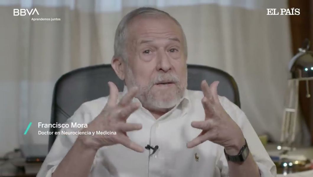 “Mi homenaje a los maestros que nos enseñaron a leer”